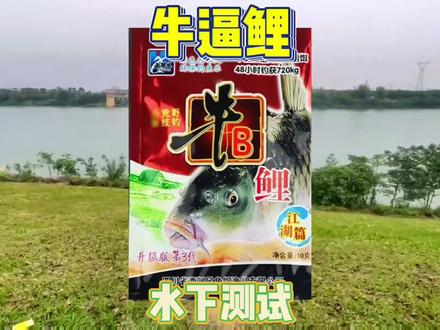 蓝鲫加牛逼鲤有一说一个人觉得效果挺好的,看完就知道了#测试饵料 #2023dou来钓鱼 #爆护饵料 #钓鱼人 #原来钓鱼才是抖音运动顶流