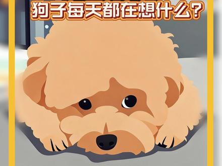 狗子每天都在想什么? #狗狗科普 #科学养宠攻略 #萌宠科普