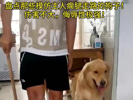 “笑不活了”系列五!盘点那些模仿主人瘸腿走路的狗狗!伤害不大,侮辱性极强啊!😂😂 #专治不开心 #可爱狗狗搞笑集锦 #神奇动物在抖音