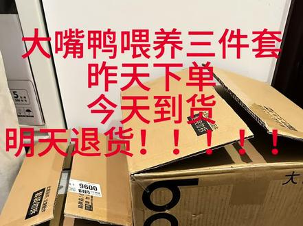大嘴鸭到货真实感受#开箱vlog #双十一