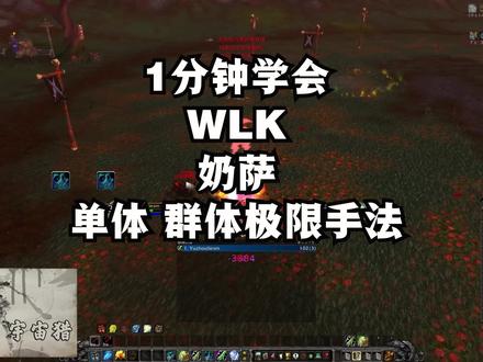 魔兽世界巫妖王之怒WLK 3.35 奶萨 天赋雕文单体群体手法教学 #魔兽