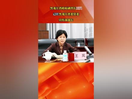 王岚已任黑龙江省委常委、宣传部部长