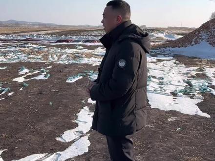 #土地全程托管刘辉 骨子里刻的情怀