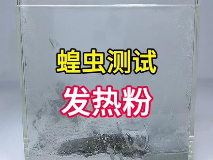 用一袋发热粉,能把蝗虫高温消毒干净吗?#蝗虫 #清道夫 #解压 #趣味实验 #自热包