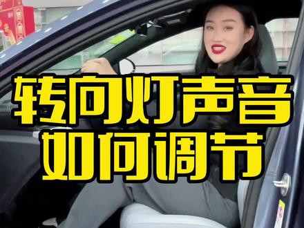 转向灯声音如何调节?#海洋领航前兔无量 #用车有妙招 #用车知识 #每天一个用车知识 #爱车讲堂 @DOU+小助手