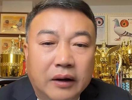 小鸽子下窝以后选择和淘汰 小鸽子下窝以后选择和淘汰#赛鸽 #赛鸽比赛 #信鸽 #信鸽赛鸽 #养鸽人