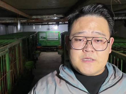 生产过程中也会引起崽弱,养殖户要学习#养殖户