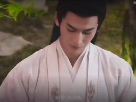 小说里谢居安穿的最多的就是道袍了。#宁安如梦 #谢危 #张凌赫#古装
