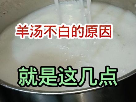 #羊汤 #奶白羊汤的做法 #羊汤技术培训 @DOU+小助手