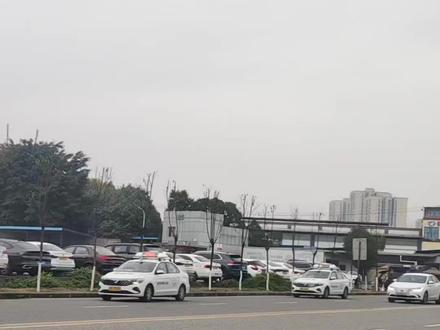 你们觉得这种情况安全员该踩刹车吗? 科目三#学车考驾照 #九龙考场#九龙考场合场