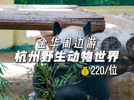 值得反复刷的野生动物世界,还可以跟动物们零距离接触!#野生动物园 #杭州野生动物世界 #国庆心动打卡地 #假期去哪玩