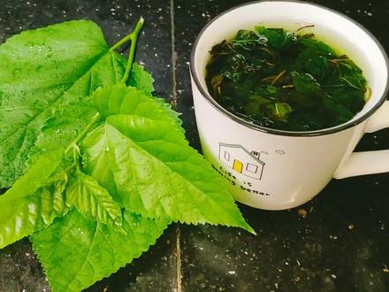 桑叶放锅炒一炒泡水喝,原来有这么多好处,它是农村老人的养身茶