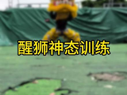 一起来舞狮子#醒狮 #醒狮传承 #南狮 #舞狮子