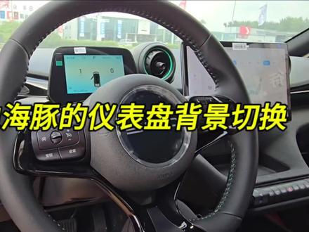 比亚迪海豚仪表背景切换#比亚迪海豚