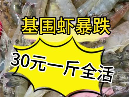 基围虾暴跌一斤25元,端午当天55一斤的基围虾,现在只要30一斤,全活虾#基围虾暴跌