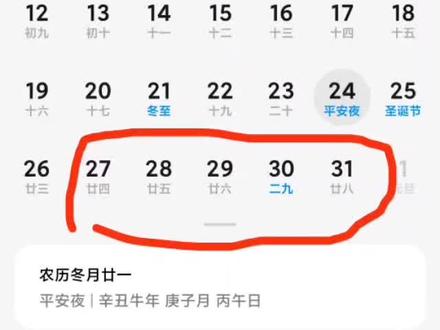 12🈷️30号的二九 其实是24节气里的二九!你懂了吗?