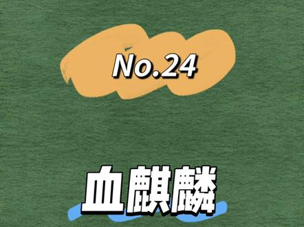 核桃届的“爱马仕”—血麒麟#精品文玩 #文玩爱好者 #文玩核桃 #文玩 #文玩核桃知识科普