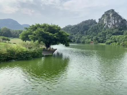 倪师讲:怎么补肾精#倪海厦教授 #中医知识普及