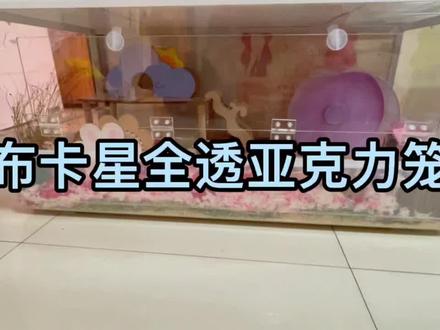 介绍一下小九和小汤圆用的布卡星100基全透款仓鼠笼,和85基全透款笼。#金丝熊 #养鼠日常分享 #金丝熊日常 #仓鼠🐹