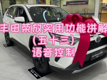 丰田荣放实用功能讲解(五十三)语音控制#荣放