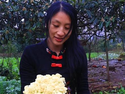 彩色花菜火了。应朋友们要求,分享一下种植方法和过程。就跟普通花菜一样,不是用什么化学药品染色剂。#我的乡村生活 @抖音小助手