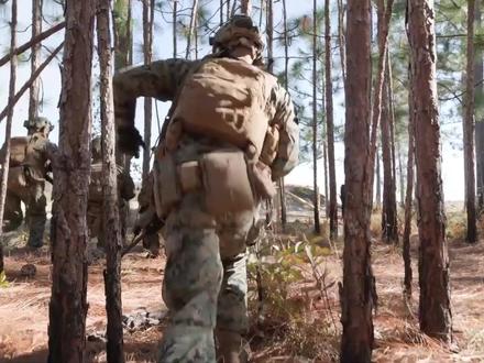 驻日美军2200名陆战队急调中东,伊朗战争将上演“贴身肉搏”?#时代的荣耀 #全球创作者计划 #零基础看懂全球 #春节世界观察