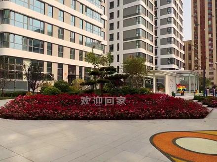 大连开发区电梯洋房,红梅小学和六中学区,现房,精装修,参观一下#房产 #大连 #精装房 #现房 #洋房