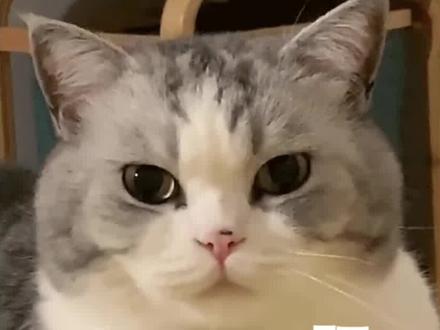 孩子的心意,家长应该懂得珍惜