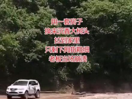 土沉沉香是指沉香脱落后埋在土里,经过土壤和时间醇化后形成的,表皮疏松,容易散开。#沉香#反转#戏剧人生 #科普