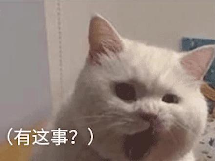 2021KPL春季赛:一分钟读懂新赛制(季前赛篇)