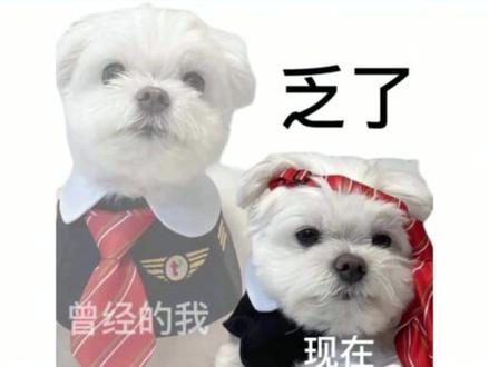 屏幕前的网友你们说呢#橹穆 #时代峰峻