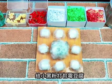 模拟给小黑粉打包霉豆腐#模拟手工霉豆腐#霉豆腐#霉豆腐手工#搞笑小视频#手工@DOU+上热门