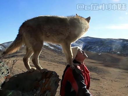 李微漪居然还有这样的遭遇,但她从来没为自己发声过 #重返狼群 #李微漪 #稿费 #格林 #万万没想到