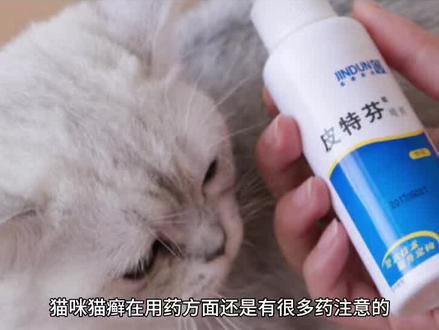 两三个月猫咪猫癣怎么治?小奶猫得了猫癣怎么治恢复最快#宠物医院 #科学养宠攻略