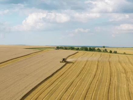 中国和美国小麦相比,谁的产量更高?结合地图了解一下 #美国 #农业 #农民 #小麦