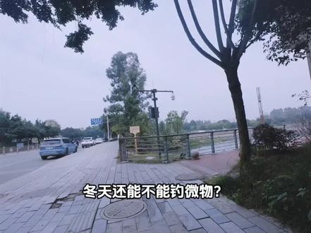 新手微物教学一定要看完#路亚 #钓鱼 #冬季路亚