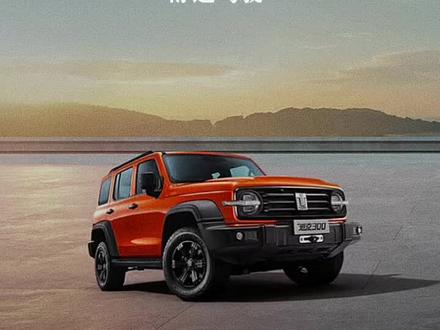 夏日刚提车的小伙伴,来看看怎么舒适驾驶#坦克300城野无界 #走进长城看坦克 #坦克300旅游神器