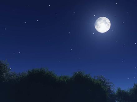 微软免费的小工具 不知道?没用过你又亏大了#干货分享 #教程 #实用小技巧 #一分钟干货教学 #电脑