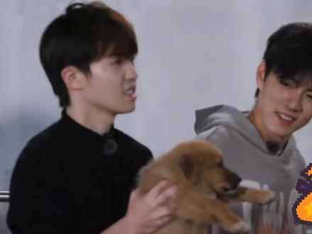 赵一博训狗教程,红包备选名字:富贵、旺财😂#李昊 #赵一博 #十个勤天只能是十个勤天 #创作者中心 #创作灵感