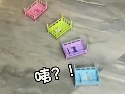 #儿童益智#搞笑视频#奥特曼儿童动画片