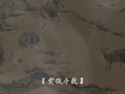 贪狼星的含义 #紫微斗数 #玄学文化#贪狼星 贪狼星含义