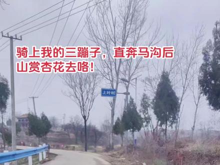 下叶出发直接杀到上叶,马沟后山杏花正疯开,约吗?