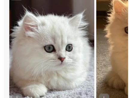 两个方法教你快速免费去图片的豆包水印#Ai #Ai工具 #豆包 #豆包教学