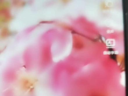 抖音最火的道具功能,是不是很美啊!学会了吗?#教程 #抖音小助手