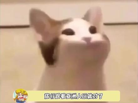跟着中国人吃准没错,找韩国人帮忙拍照准没错