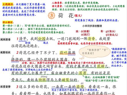 三年级下册丨第3课《荷花》语文笔记
是改版后新课标的~
📝 生字关卡
会认:挨、蓬、胀、裳等7个生字。
会写:荷、紧、挨、蓬等生字,还有 “荷花、莲蓬” 等词语要会写哦!
多音字:挨(āi /ái),别读错啦!
🎯 核心任务
1️⃣ 朗读背诵:边读边想象荷花的画面,读出对荷花的喜爱之情,重点背诵第 2~3 自然段!
2️⃣ 词句积累:摘抄文中描写荷花姿态的优美语句,体会“一大幅活的画”的生动表达~
3️⃣ 情感体会:感受荷花的千姿百态和灵动之美,培养对大自然的热爱🌷
💡 小 Tips
背课文时可以边背边想象荷花的样子,区分荷花的三种姿态,记得又快又牢!
摘抄优美句子时,顺便仿写“有的……有的……有的……”句式,作文也能用上哦~
跟着这份目标学,《荷花》轻松拿下!再也不用怕课文背诵和词句赏析啦~
#三年级下册 #新版三年级下册 #三年级下册语文 #三年级下册语文预习