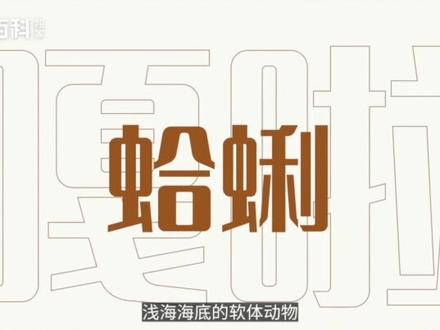 吃蛤蜊能喝啤酒吗?#神奇动物在这里 #蛤蜊