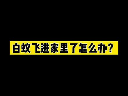 白蚁飞进家里了怎么办?千里之堤 溃于蚁穴,千万不要因为一时的疏忽,导致了不可估量经济损失喔!
#涨知识 #峰哥说虫 #白蚁防治