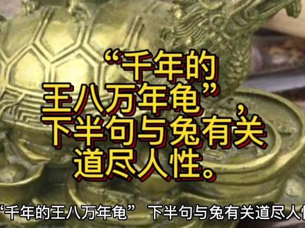 “千年的王八万年龟”,下半句与兔有关道尽人性! #历史冷知识 #古文化