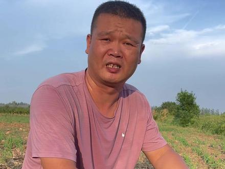 种红菜苔的季节到了,预示着一年已经过去一大半了,你们准备好过年💰了吗?#抖音助农 #记录真实生活 #高温下的劳动者 #洪山菜苔 #优质农产品 @抖音小助手